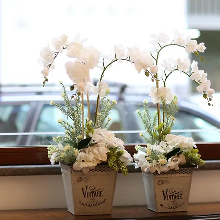 Hotel Vergilius Billia Nápoles